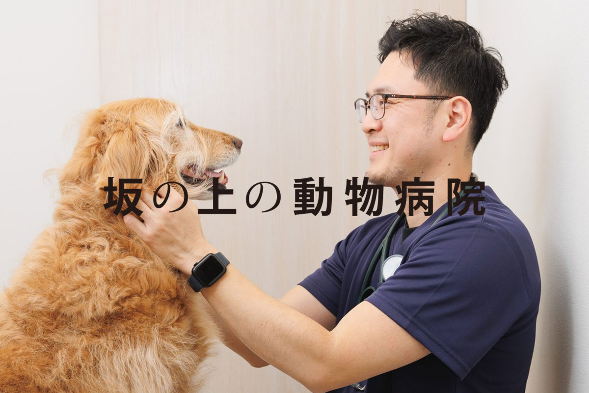 動物病院ホームページリニューアル