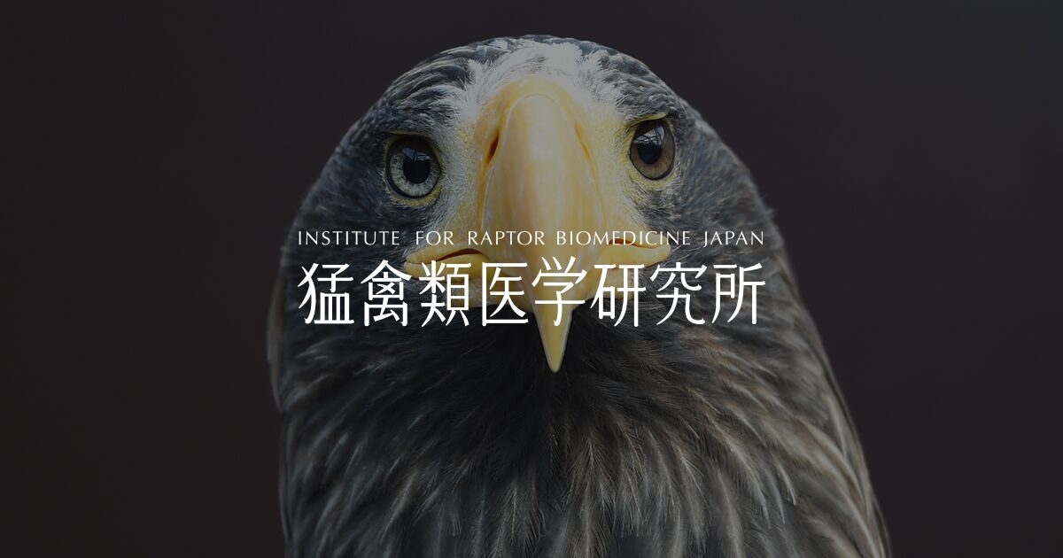 猛禽類医学研究所ホームページリニューアル